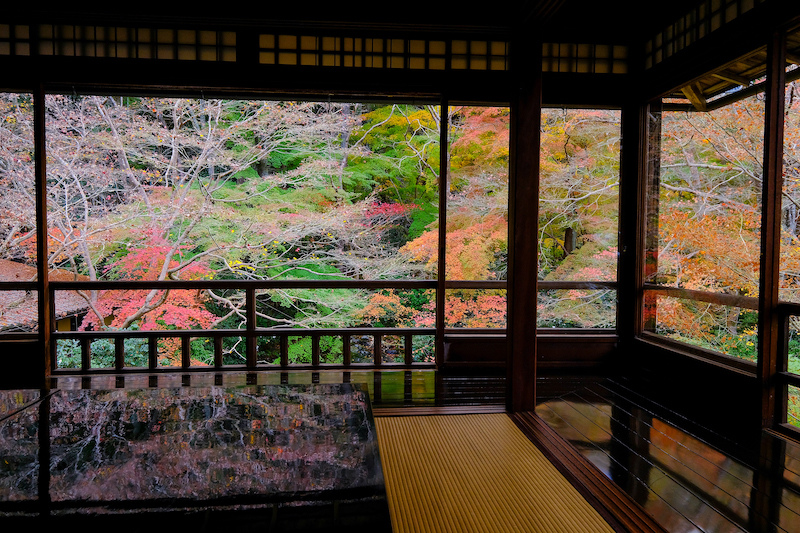 【京都瑠璃光院2024】一年開放三次！琉璃光院預約、開放時間