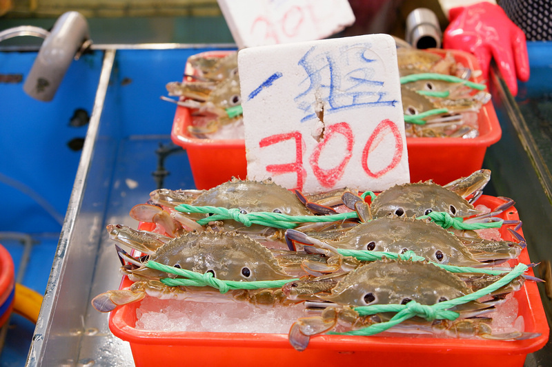 【桃園】竹圍漁港：美食餐廳、生魚片螃蟹攤位推薦、附近景點一日