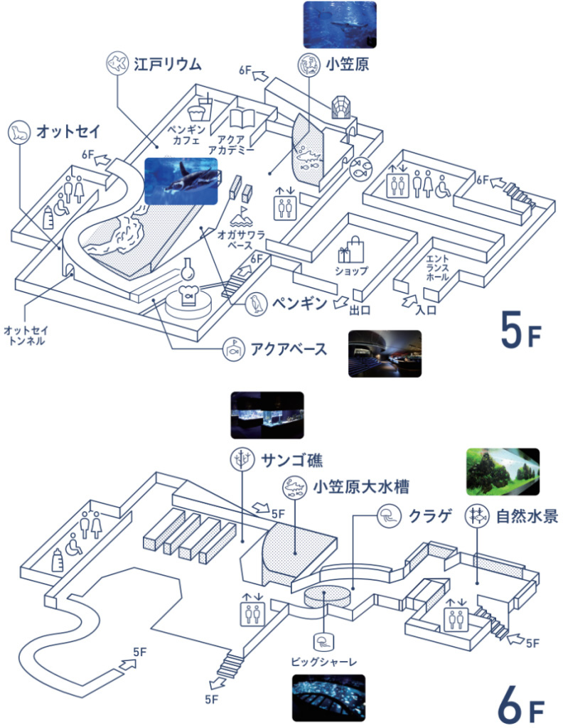 墨田水族館地圖.jpg