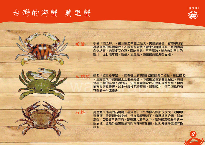 【新北萬里】龜吼漁港漁夫市集：餐廳美食、螃蟹推薦、交通景點一