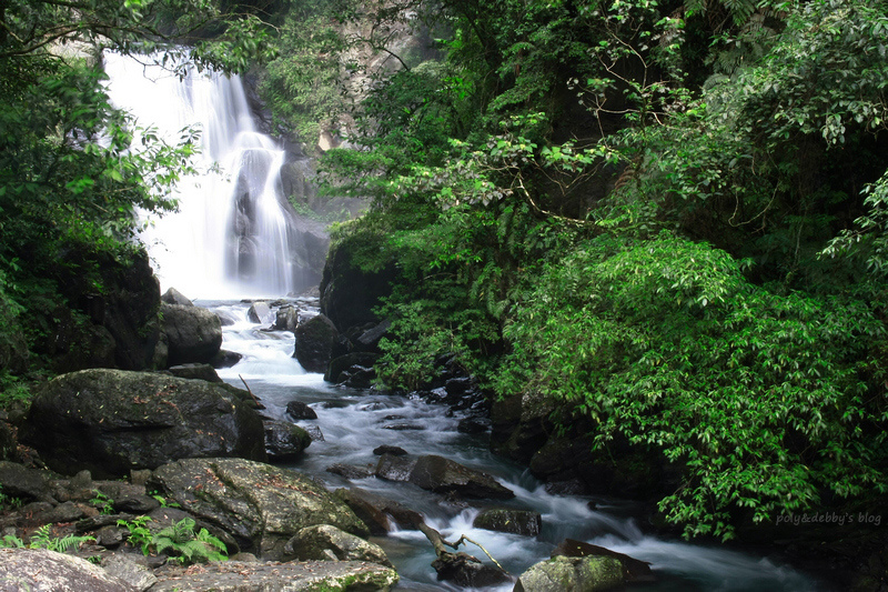 【烏來】內洞國家森林遊樂區：最美瀑布！內洞林道＆門票優惠交通一日遊