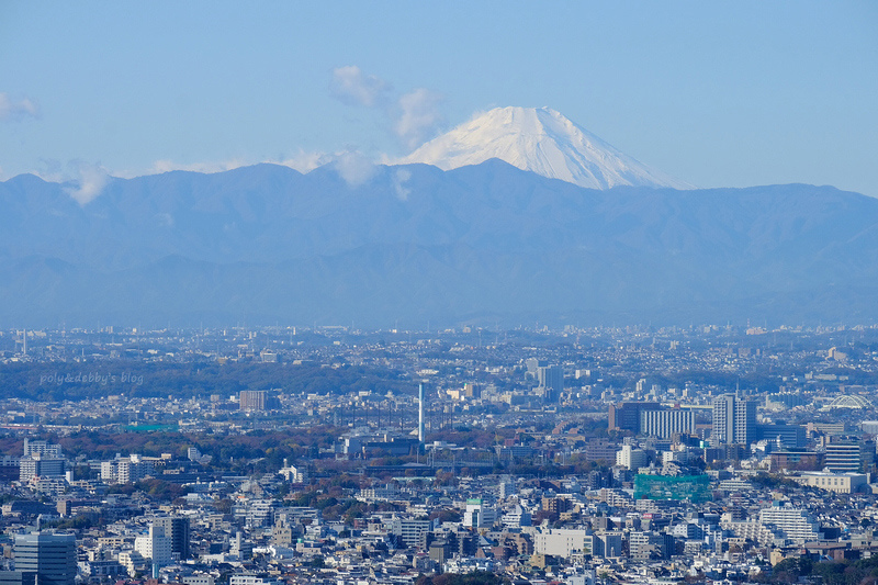 【2024東京景點推薦】18個東京自由行必去旅遊景點＆好玩東