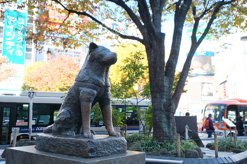 【東京】忠犬八公像＆澀谷十字路口：感人的故事，必拍知名打卡景點